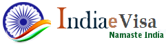 e-visa india logo
